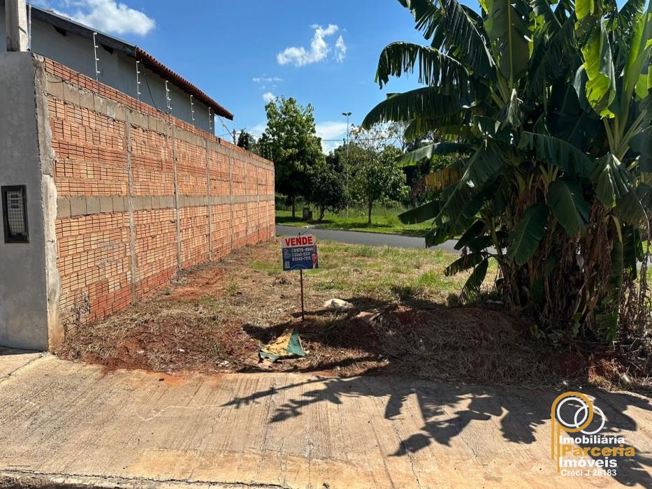 WhatsApp Image 2026-02-20 at 11.22.34.jpeg